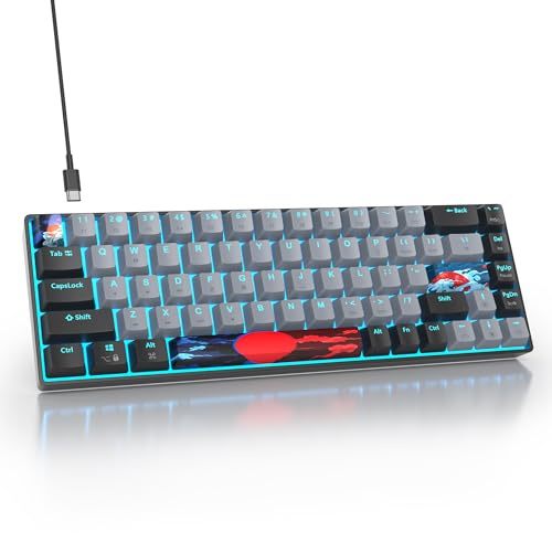 SOLIDEE mechanische gaming tastatur 65 prozent,68 Tasten mit Lineare rote Schalter,Eisblaues Licht,kabelgebundene mechanische Tastatur mit LED-Hintergrundbeleuchtung,für PS5/PS4/Xbox(68 Dolch)