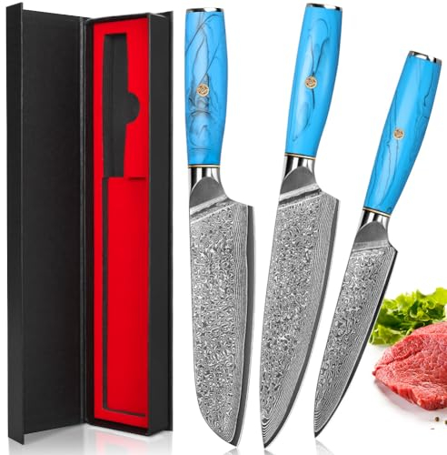 kyushublade Damast Kochmesser set, Küchenmesser aus 67 Schichten Damaststahl Messer mit Blaues Harz Ergonomischer Griff für Haushalt,Restaurant (3-teilig.Küchenmesser)