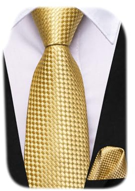 Dubulle Ties for Boys Self Tie Silk Necktie for Age 8-11 Kid,Bright Gold