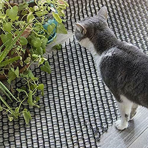 Katzenabwehr Matte Pflanze Katzenabwehr Indoor Outdoor, Küchentresensofa Katzenkotmatte 13 × 16, Katzenschreck für Gemüsebeete Im Kellergarten Blumenbeet (Size : 40 pcs)