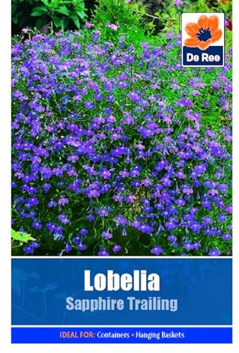 Flower Seeds Lobelia Sapphire Trailing - 1995 Seeds Packet Plant Bedding Borders Containers Pots Grow Your Own Garden Plant Seed