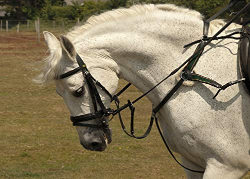 Rhinegold Elegance - Redini in Gomma Morbida al Tatto, Corazza, Nero, Pony
