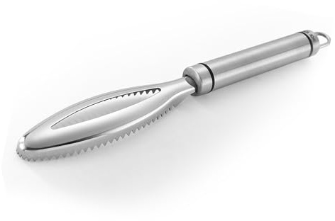 Fischschupper-Bürste, Fischschuppenentferner, Fischschuppenentferner, Langlebiger Multifunktionaler Reinigungsbürstenschaber, Werkzeuge Zum Reinigen von Fisch und Meeresfrüchten