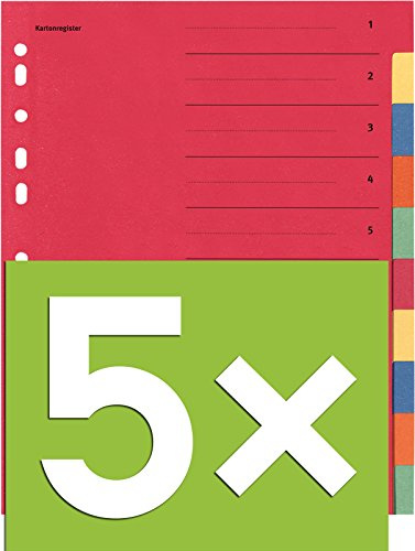 Falken Karton-Register für DIN A4 24 x 29,7 cm volle Höhe mit Organisationsdruck (5er Pack, 10-teilig)