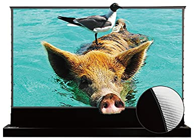 VIVIDSTORM Motorized Floor Rising UST ALR Projector Screen for Home Theater, Tensioned Wrinkle-Free Surface, Smart App and Voice Control, No Wall Mount Needed,VSDSTUST120H