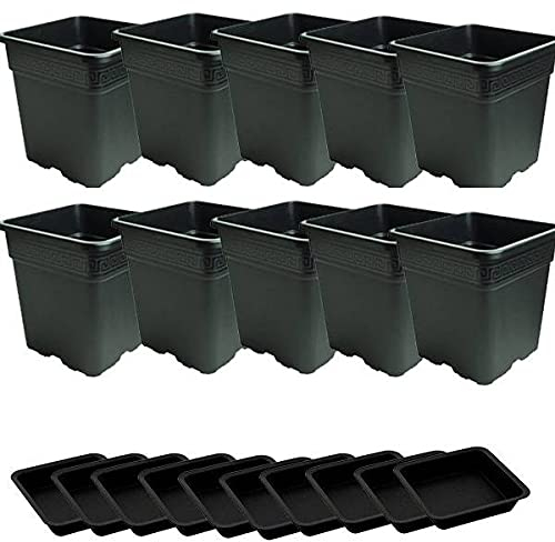 Idroponica Vaso quadro 18L + Sottovaso