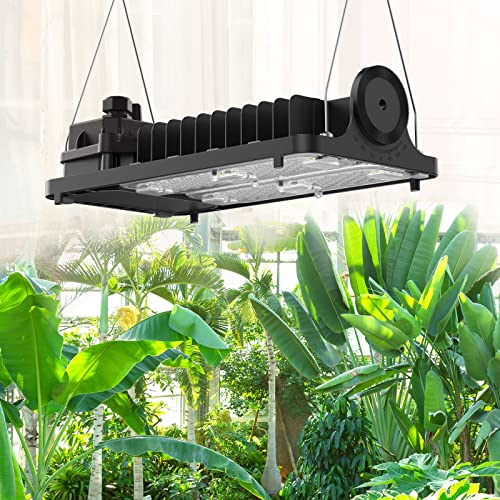 SANSI 100W LED Pflanzenlampe für Zimmerpflanzen, 1000W Äquiv, 2x4ft Grow Lampe Vollspektrum Dimmbares Wachstumslicht mit optischer Linse für hohe PPFD, energiesparendes Pflanzenlicht