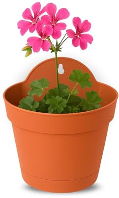 TECHZOCO Macetero con Soporte de Pared, Maceta Redonda plástico, Tiesto Colgar Flores, Fabricado en Polipropileno, Recipiente Pared para Flores, 15 cm diámetro x 9.3 cm Base x 16.8 cm Alto, Terracota