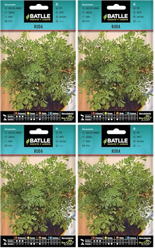 Graines aromatiques de Batlle - Rue des Jardins (1g), vert (Lot de 4)