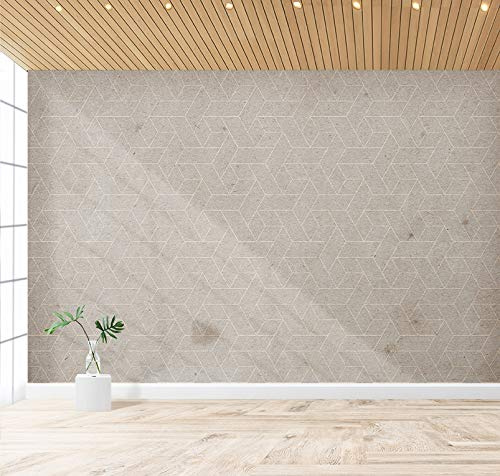 Carta da parati Geometrica, rosa antico e oro, 450 cm. misure e colori disponibili su richiesta (Grigio/Crema)
