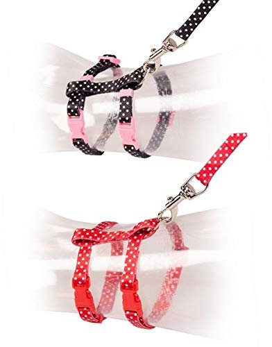 duvoplus, Set für Spaziergänge, Katze, weiße Kugeln, 20 – 35 cm/10 mm – 125 cm, Schwarz/Rot, bequem und anpassbar an die Größe Ihrer Katze, einfach zu bedienen, Qualität Outdoor, Leine + Halsband