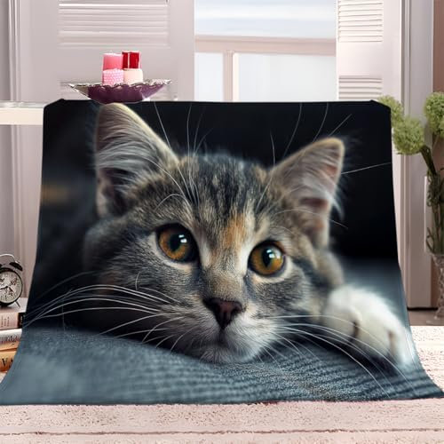 Kuscheldecke Fleecedecke 150x200 cm Tierische Graue Katze Flauschig Decke Warme Sofa Decke, Kuschlige Wohndecke Weich Wohnzimmer Couchdecke Sherpa Decke für Winter
