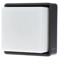 Steinel LED Außenleuchte L 845 SC Connect, Bewegungsmelder, smarte Wandleuchte dimmbar, bedienbar per App, Zeitschaltuhr, Anthrazit