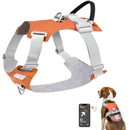 Joytale Leichtes Hundegeschirr Mittelgroße Hunde, Verstellbares No-Pull-Geschirr mit Clips Vorne und Hinten, Hundegeschirr mit Wiederaufladbarer LED-Box und Airtag-Halterung, Orange, M
