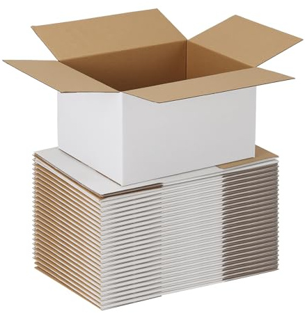 EXYGLO 25 Pack 10x8x6 Shipping Boxes for Small Business, White Corrugated Cardboard Small Box for Packaging, Moving, Mailing, and Storing