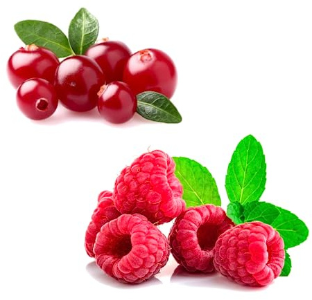 Grosella y Frambuesa Natural Arboles de Exterior de Cultivo Fácil