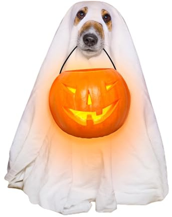 Costume Cosplay pour Chien,Costume De Fantôme d'halloween pour Chien | Tenue Effrayante pour Chiot pour Halloween Accessoires Photo pour Célébrations et Promenades