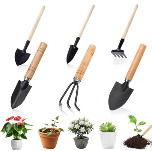 6 Pezzi Mini Attrezzi da Giardino Mini Giardinaggio Attrezzi Set di Attrezzi da Piante Piccola Rastrello Pala con Manico in Legno per Piante in Vaso di Fiori piantine di Piante Bonsai