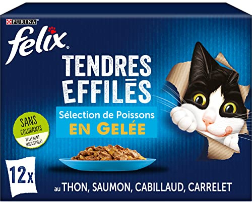 FELIX | Tendres Effilés | Chat Adulte | en Gelée | Alimentation complète | Sélection de Poisson : au Thon, Cabillaud, Saumon et Carrelet | Sachets Fraîcheurs | Lot de 6 x (12 x 85g)
