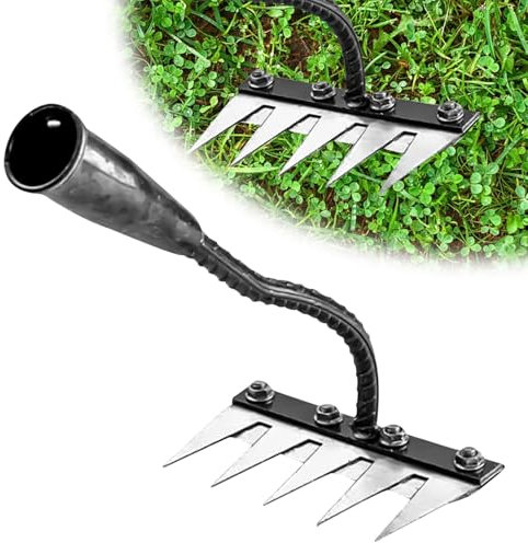 RâTeau De Jardin en Acier Au Carbone Robust - Outil De DéSherbage Et DéChaumage pour Jardinage - RâTeau en MéTal Durable pour Terre Et Pelouse (Cinq Dents)
