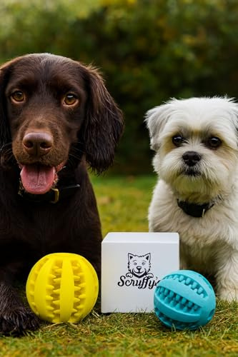 Scruffy's Dental Puzzle Ball, Treat-Dispensing Rubber Chew Toy for Dogs