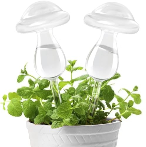 KiKiHome KiKiHome Neue Pflanzenbewässerung, selbstbewässernde Kugeln, mundgeblasene Pflanzenwasserzwiebeln aus klarem Glas für drinnen und draußen, 2 Pilze