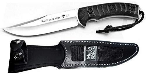 Muela Cuchillo PREDATOR-14W hoja de acero MoVa de 12,5 cm y empuñadura de micarta gris biselada para Caza, Pesca, Supervivencia y Bushcraft Realizado en Ciudad Real + Portabotellas de regalo