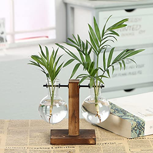 SARGE Terrarientöpfe für hydroponische Pflanzen Blumentopf Vintage transparente Vase Holzrahmen Glastisch Pflanzen Dekorationen für zu Hause Bonsai