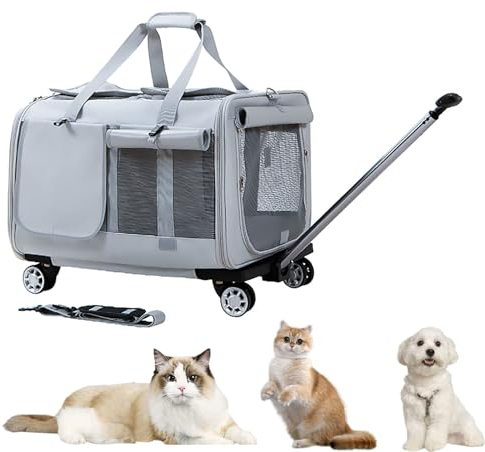 Pucaru Roller Katzen-/Hunde-Reisetragetasche, Haustier-Trolley, Transport-Reisebox, Abnehmbar, Zusammenklappbar (Color : Light Gray)