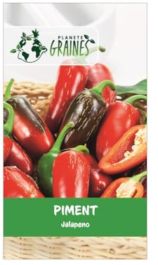 250 Graines de Piment Jalapeño (Capsicum annuum) - Piquant Modéré (4/10 Scoville) - Idéal Apéritif et Farci
