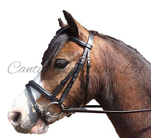 Canter Cuir Flash Bride avec rênes en Caoutchouc. Shetland, Pony, COB, Full Neuf