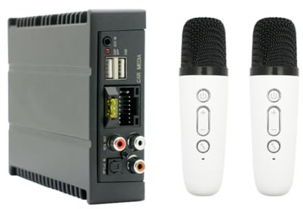 Yominerr 4x80 -Anpassungs-Leistungsverstärker für Autoradio-Multimedia-Videoplayer, Unterstützt Glasfaser/Koaxial/AUX/USB/BT