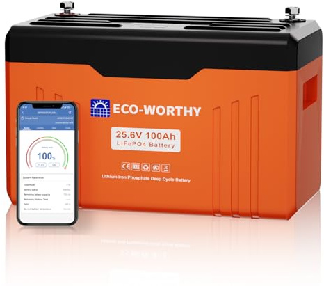 ECO-Worthy 100Ah LiFePO4 Akku 24V Lithium Batterie mit Bluetooth, 100A BMS, SOC und Low Temperature Schutz, Max.15000 Zyklen, 2560Wh für Heimenergiespeicher, Wohnmobil, Off-Grid-Systeme | 2560Wh Lithium Batterie mit SOC & 15000 Zyklens für Wohnmobile,Trolling-Motor,Boot,Camping,Solaranlage Komplettset
