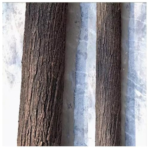 Rotolo Decorativo Corteccia Albero Realistico - Pannello Corteccia Sintetica Impermeabile per Interni/Esterni(0.3x1m)