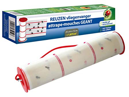 BSI Riesen-Fliegenklatsche, Grün