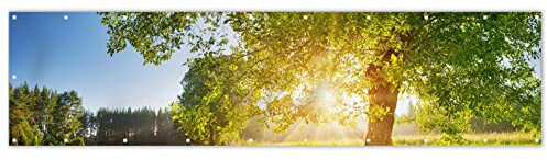 MuchoWow® Balkon Sichtschutz Sichtschutzmatte Balkonbanner Abdeckung für Terrasse Balkon Windschutz Blickdicht Wetterfest 300x80 cm Sommer - Baum - Landschaft - Sonnenaufgang