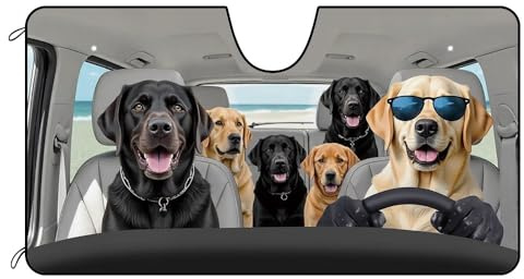 BAGEYOU Car Front Windshield Sunshade Golden Retriever and Labrador Dogs Decor Vehicle Sun Shade Visor UV Ray Reflector Sun Protector, Keep Vehicle Cool, 55 x 30