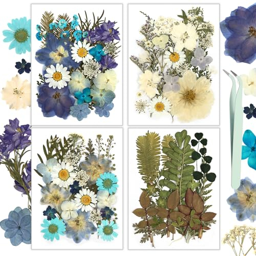 Getrocknete Blumen, Resiners 100 Stück Gepresste Blumen für Harz, Seife, Kerzen, Scrapbooking & Karten – Echte Natürliche Getrocknete Blumen & Blätter Set für DIY Papierbasteln & Schmuckdekoration