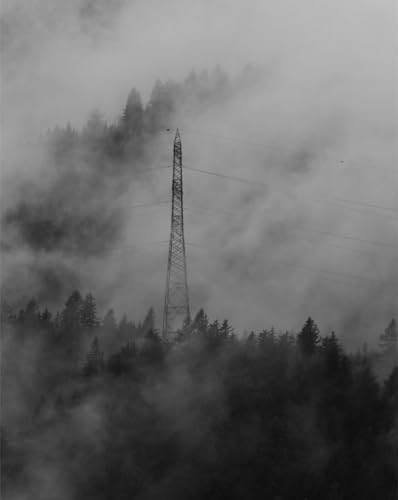 Puzzle 1000 Teile,Geschicklichkeitsspiel für die ganze Familie-Wald, Nebel, Drähte 70x50cm