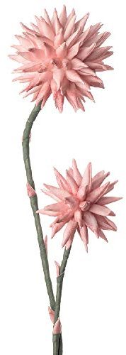 L'Oca Nera 1P104 CRISANTEMO Pompon in Eva-POLIETILENE ESPANSO 80h Rosa Fiore Artificiale
