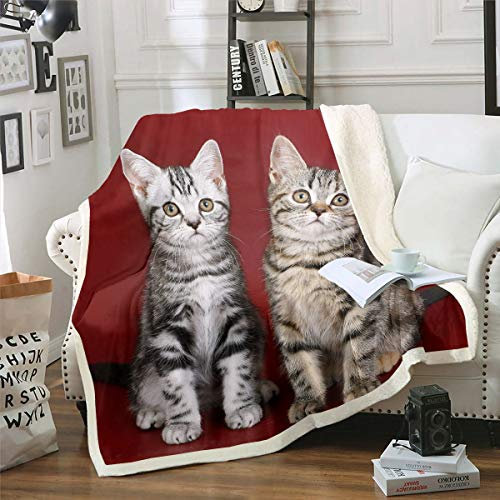 Coperta in pile Sherpa, con stampa di due gattini, per bambini, ragazzi e ragazze, simpatica coperta americana a tema animale, pelosa, per divano e letto, per letto king size, 220 x 239 cm