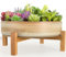 ARTKETTY Macetas para suculentas, macetas grandes de cerámica de 11 pulgadas para bonsái con soporte de drenaje, macetas suculentas poco profundas para plantas de interior, maceta decorativa para