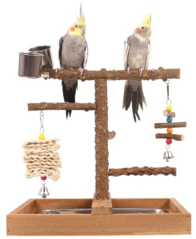 CHSEEO Vogelspielplatz Wellensittich Spielplatz Spielzeug, Großer Vogel Spielplatz mit Sitzstangen Hängespielzeug & Vogel Zubehör wie Hängende Kauspielzeuge, Vogelbaum für Papageien Kanarienvogel