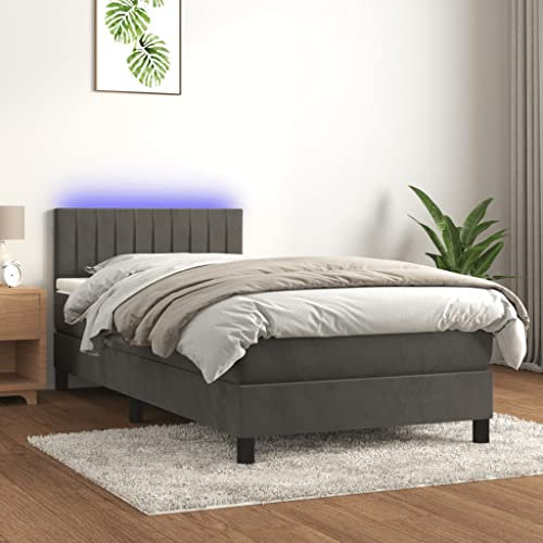 THOYTOUI Boxspringbett, Bettstütze Seniorenbett Bettgestell Tagesbett Geeignet für Schlafzimmer Gästezimmer Aufenthaltsraum Wohnungen mit Matratze & LED Dunkelgrau 100x200 cm Samt