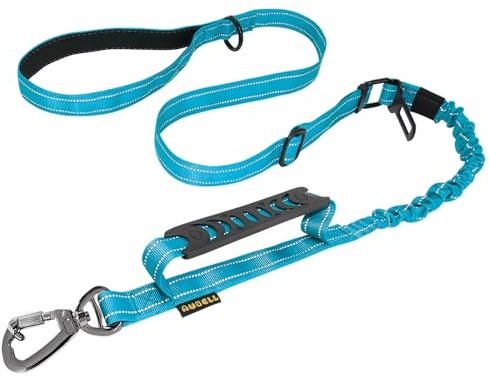 AUBELL Tactical Dog Leash Heavy Duty,4-6ft Reflective Strong No Pull Bungee Leash for Medium Large Dogs with Comfortable Padded Double Handle,Car Seat Belt,360 Degree Rotating Carabiner,Blue