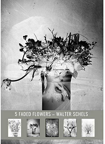 5 BLUMENPOSTKARTEN. Postkartenset # 2 Walter Schels