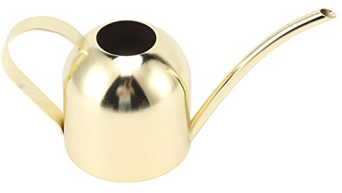 Edelstahl-Gießkanne, Großes Fassungsvermögen, für Drinnen und Draußen, Hauspflanzen, Gartenarbeit, Gold
