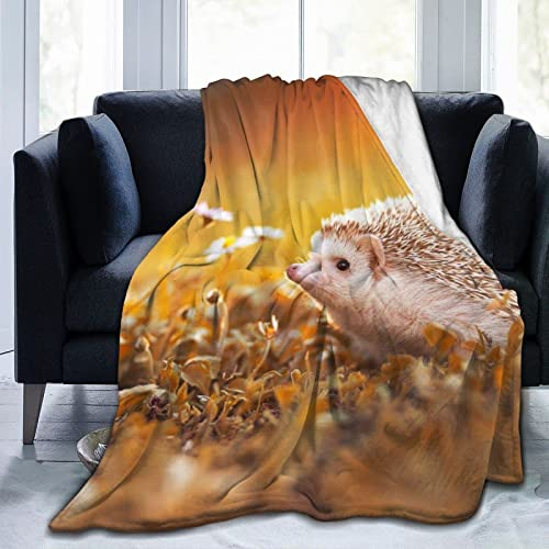 okoikfc Kuscheldecke Flauschig 220x240 cm 3D Igel Decke Fleecedecke - Wohndecke, Sofadecke XXL, Decke Couch Blanket, Kuscheldecke Große, Sofa überwurfdecke