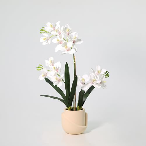 Orchidea artificiale Phalaenopsis 71 cm in vaso – realistica pianta artificiale fiorita – elegante decorazione orchidea – senza cura tutto l'anno bella immediatamente pronta per la decorazione