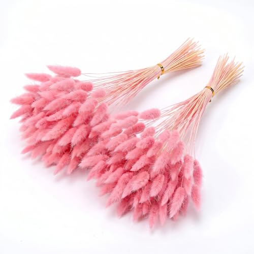 120 Pièces Herbe de La Pampa Rose Séchée Pampas Sechees Decoration 35-40cm | Fleurs de Queue de Lapin Séchées Queue de Lapin Fleur Séchée pour Mariage,Fête,Maison,Salon,Chambre,Photographie,Vase
